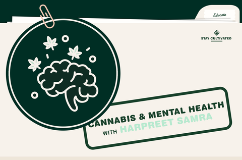 How Cannabis Impacts My Mental Health