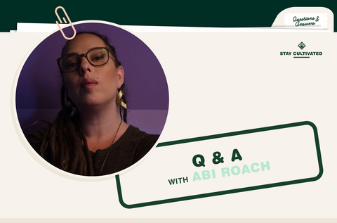 Q & A: Abi Roach